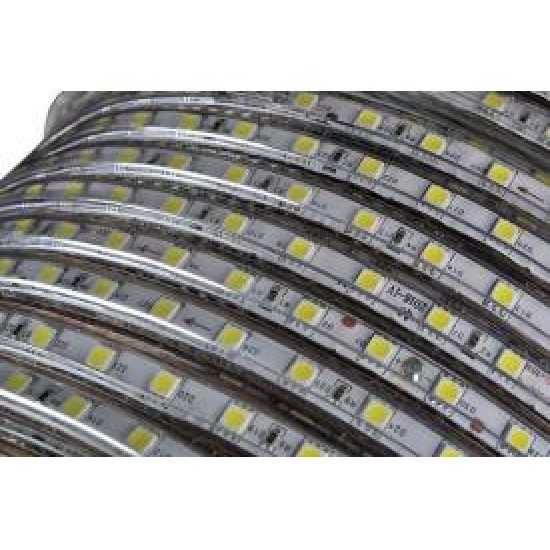 HORTUM LED 4040 100 METRE