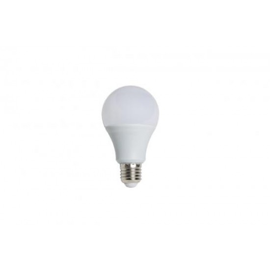 10W LED AMPUL (E27)