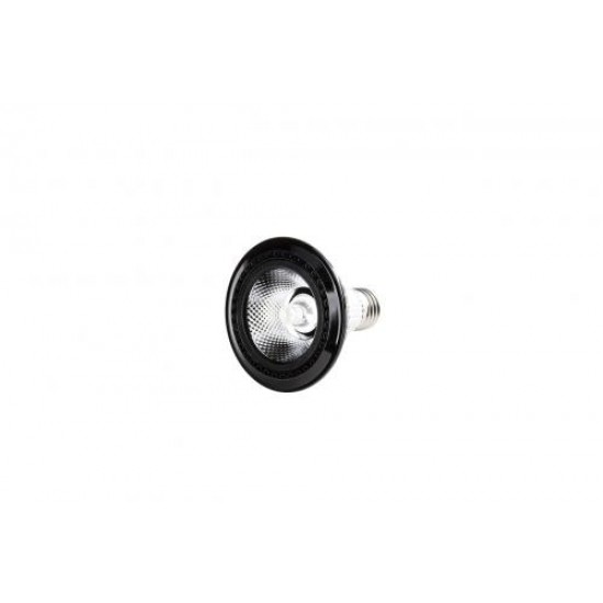 PAR 30 COB LED AMPUL (E27)
