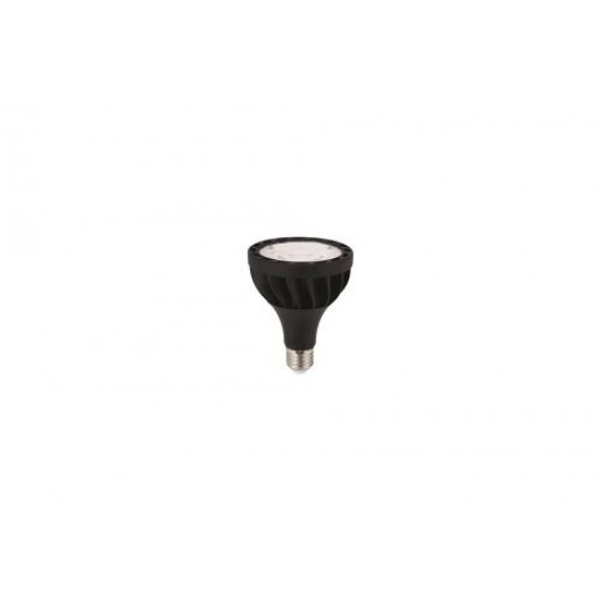 PAR 30 LED AMPUL (E27)