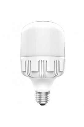 20 W LED BULB